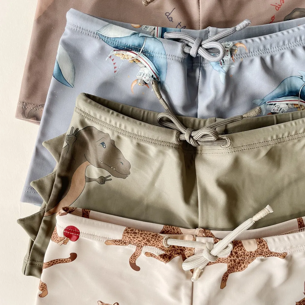 Aster Swim Pants - Badeshorts aus recyceltem Polyester