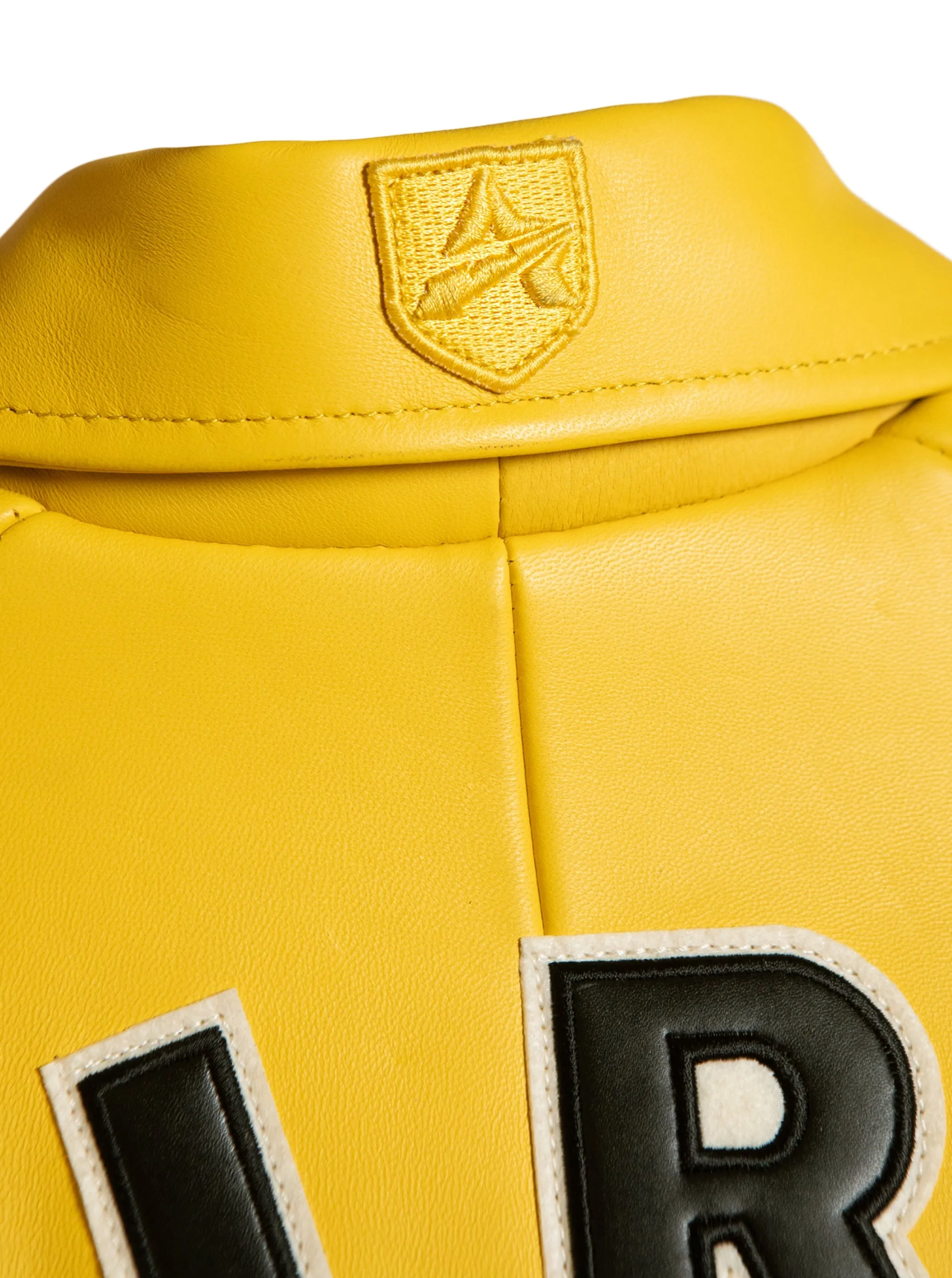 Avirex icon jacket (gold)