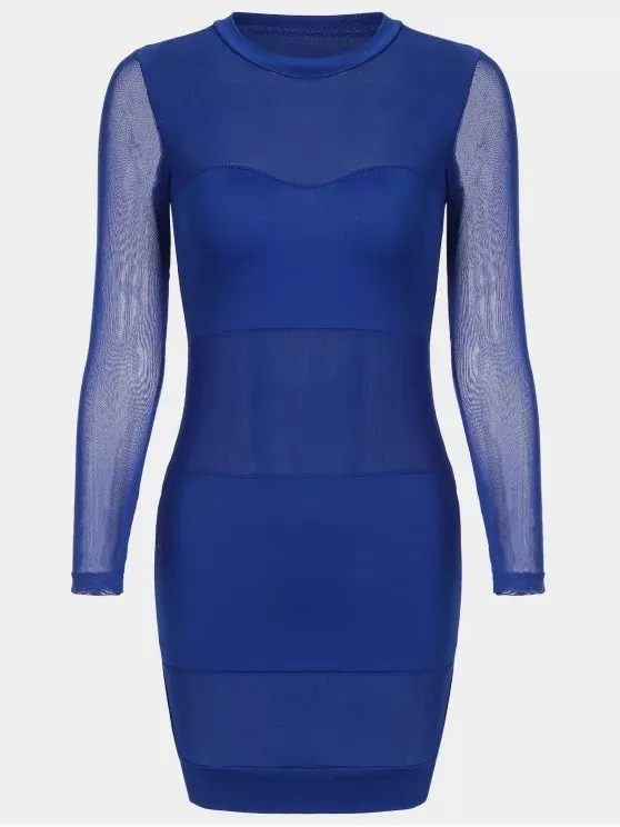 BerryBetty - Cute Sheer Mesh Panel Bodycon Dress