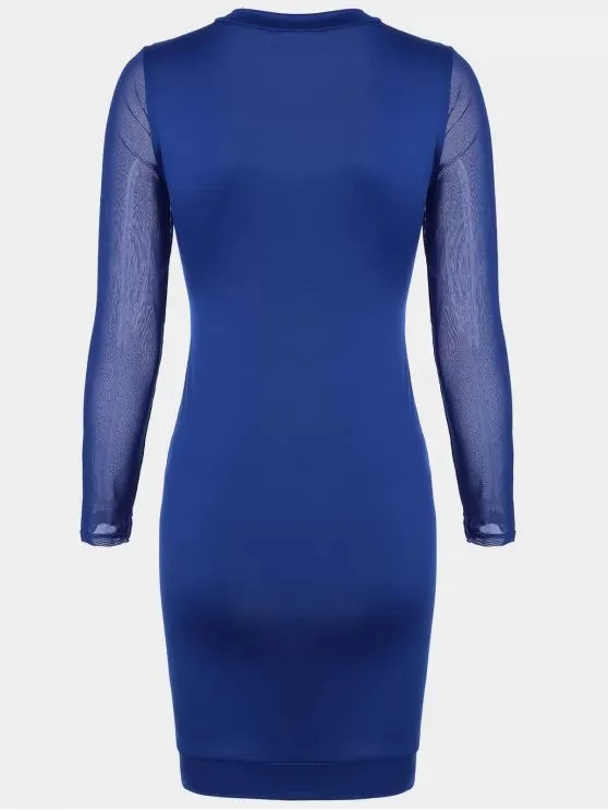 BerryBetty - Cute Sheer Mesh Panel Bodycon Dress