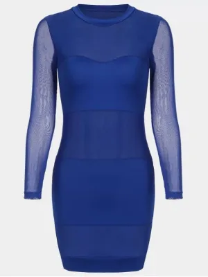 BerryBetty - Cute Sheer Mesh Panel Bodycon Dress
