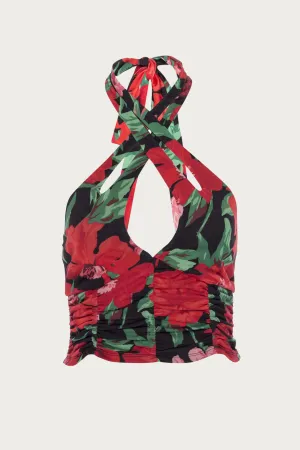 DENVER TOP