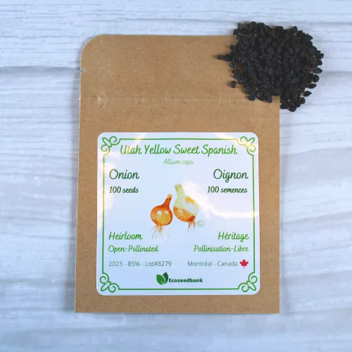 Utah Yellow Sweet Spanish Onion Seeds